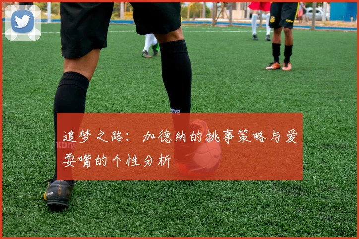 追梦之路：加德纳的挑事策略与爱耍嘴的个性分析