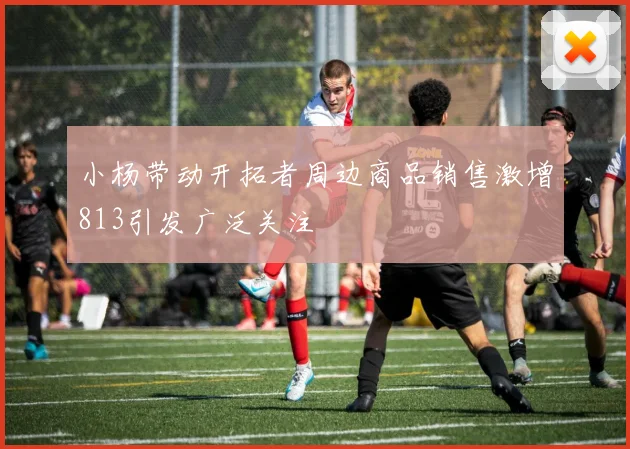 小杨带动开拓者周边商品销售激增813引发广泛关注