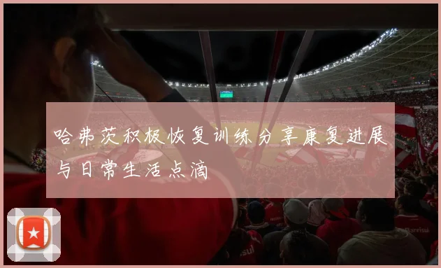 哈弗茨积极恢复训练分享康复进展与日常生活点滴