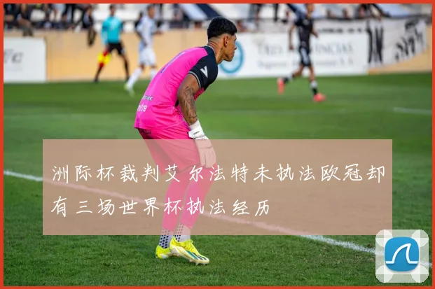 洲际杯裁判艾尔法特未执法欧冠却有三场世界杯执法经历