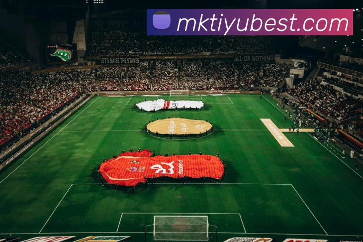 MK体育平台生态图